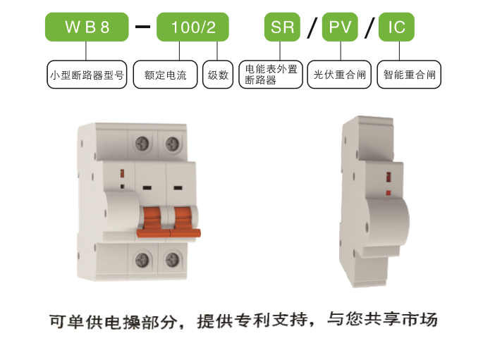 WB8-32/2SR電能表外置斷路器 電能表外置斷路器 電操機構(gòu)